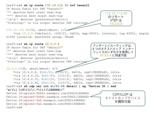 図 2:パスとデバイスの特定