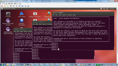 developing-applications-with-onepk-all-in-one-vm-fig3