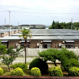 階上中学校の校庭に並ぶ仮設住宅