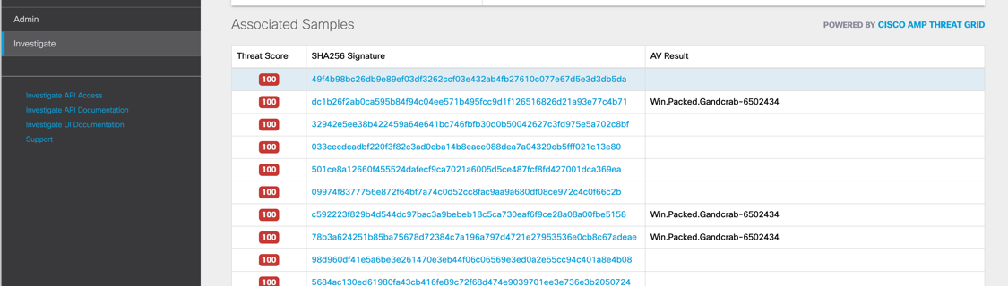 図 2:このドメインを参照した Threat Grid の観察情報