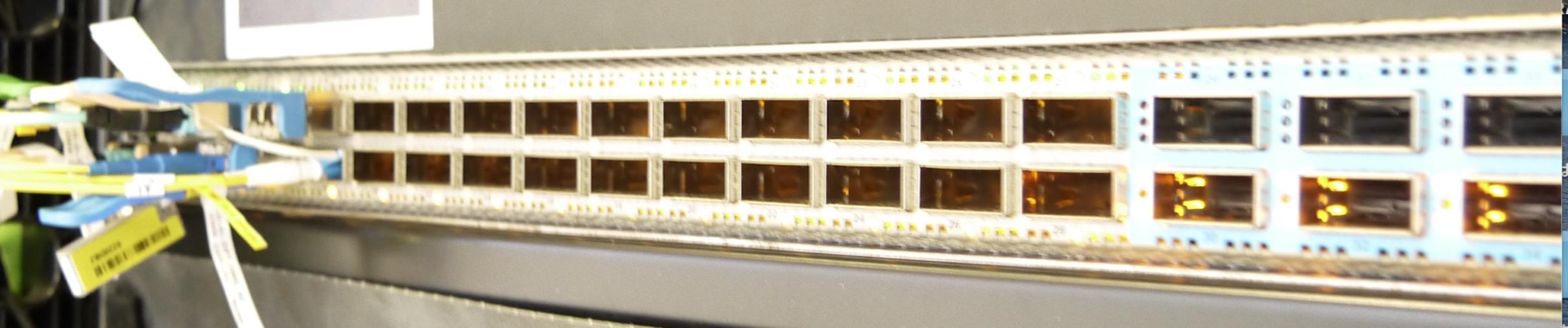 Nexus93600CD-GX DC から SRv6 L3VPN 接続を提供