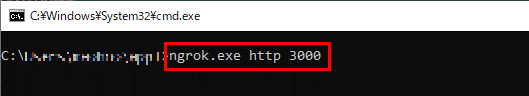 ngrok.exe http 3000
