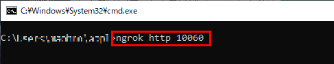 ngrok http 10060