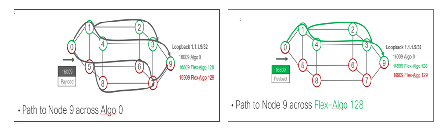図 5-13 IGP Flex アルゴリズムによる Multi Plane の実現