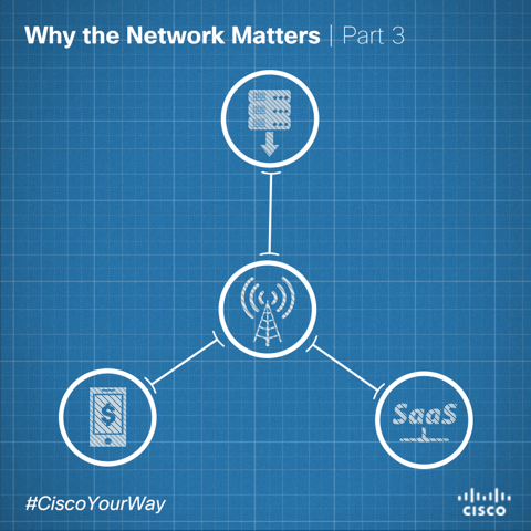 why_the_network_matters