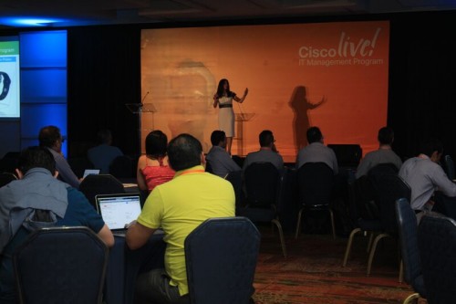 IT Management Program