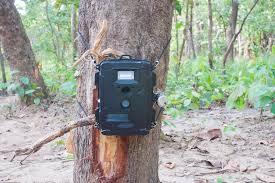 Camera trap