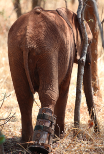 Screen Shot 2014-11-11 at 07.34.48