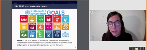 Image of presenter and slide in Webex