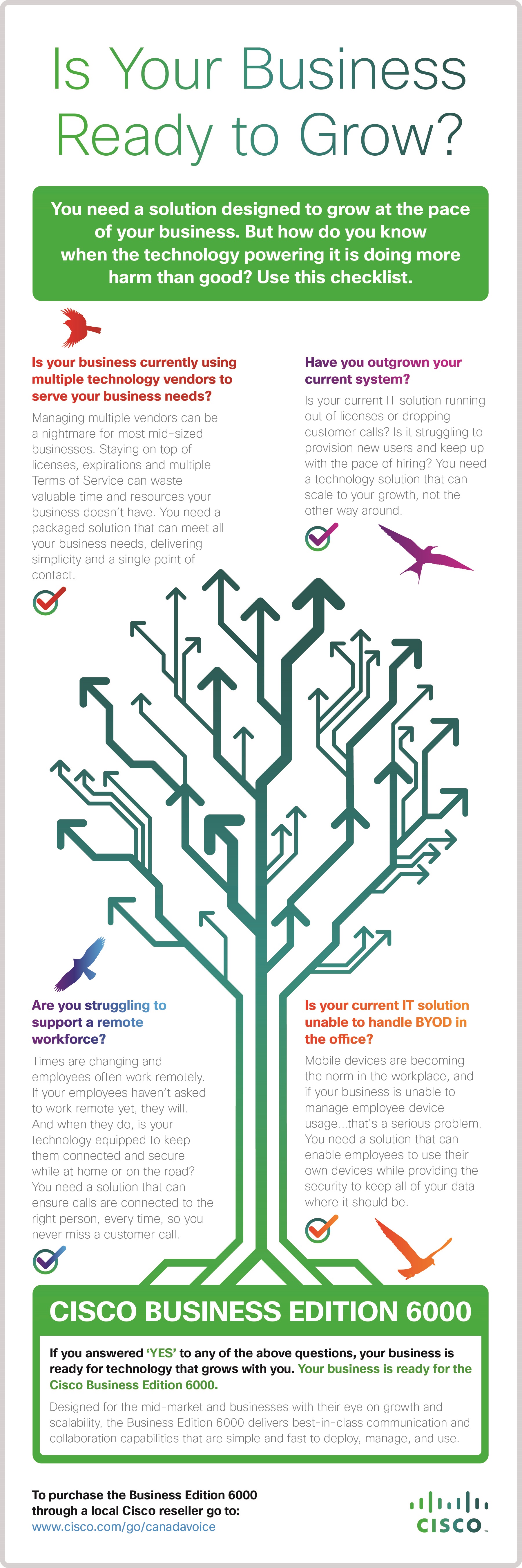 circuit tree black new